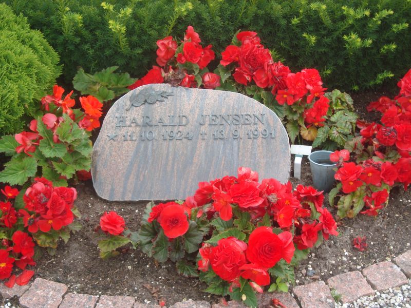 Harald Jensen.JPG